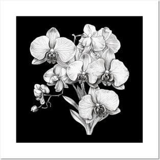 Black and White Coloring Book/Tattoo Style Orchid Blossoms Posters and Art